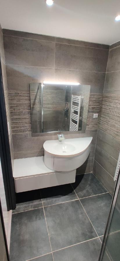 Appartement F2 Dans Le Centre Historique Le Puy-en-Velay 外观 照片